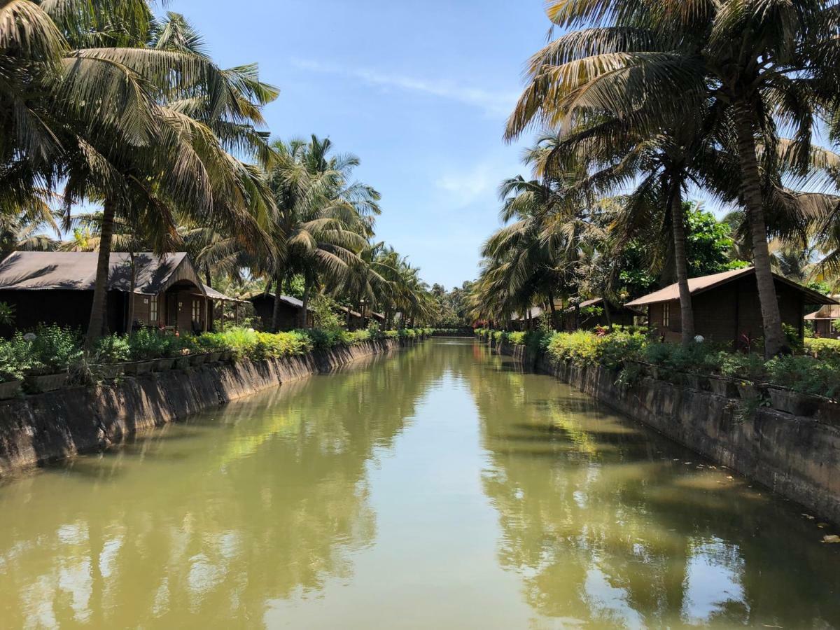 Resort Primo Bom Terra Verde Baga Dış mekan fotoğraf